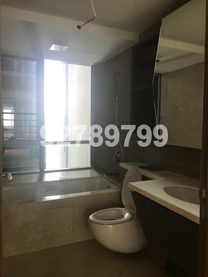 V On Shenton (D1), Apartment #160156042